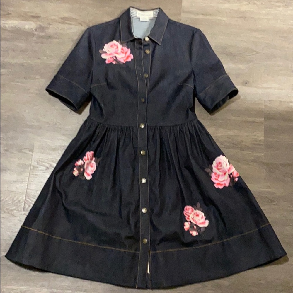 Kate Spade Denim Fit and Flair dress